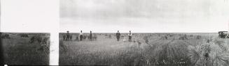 Untitled (figures in stooked field)
