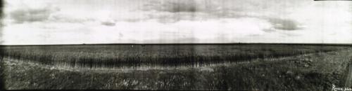 Untitled (large crop, figures)