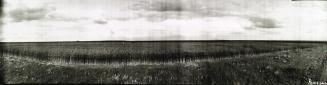 Untitled (large crop, figures)