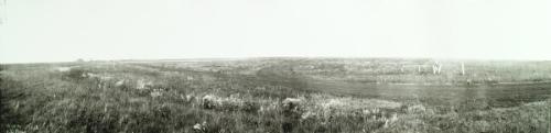 Untitled (crop, poles, farm, road)
