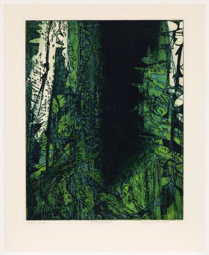 Memory of Woods