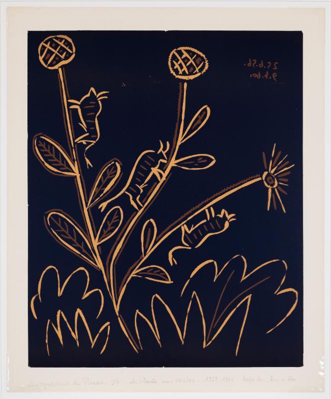 © Picasso Estate / SOCAN (2021)
