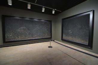 Eunuch Tapestries I (diptych)