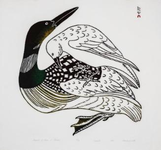 Legend of Loon and Raven