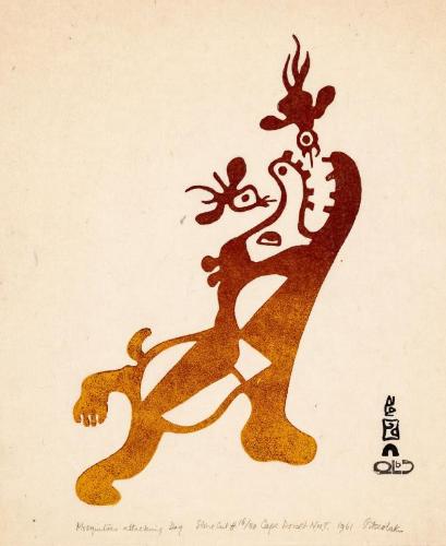 Mosquitoes Attacking Dog