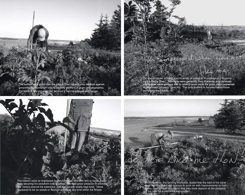 Poundmaker’s garden