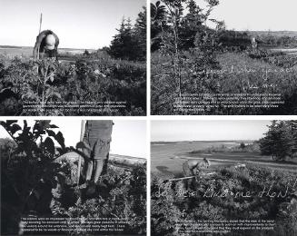 Poundmaker’s garden