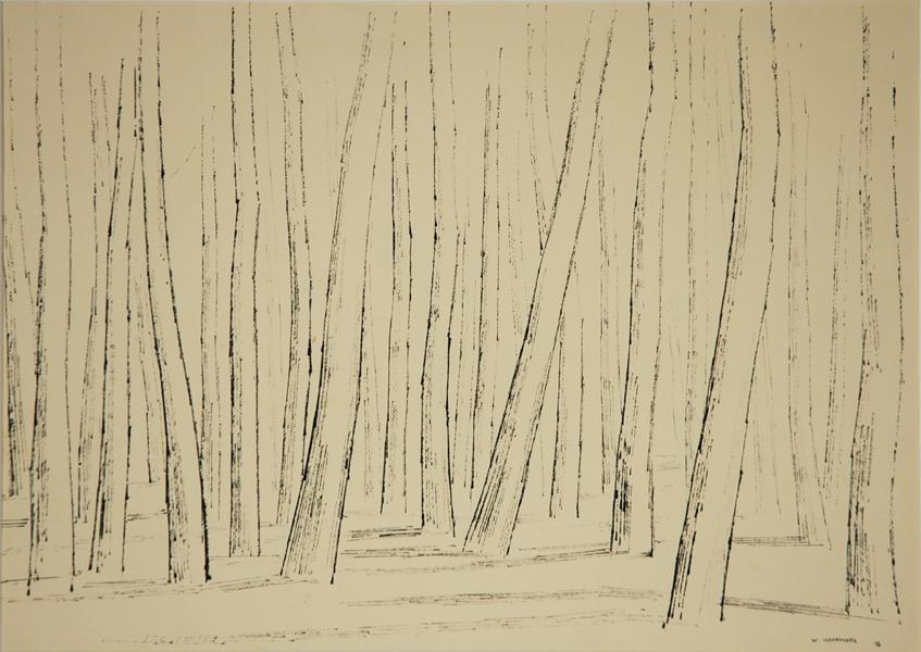 Evergreens, Winter Morning