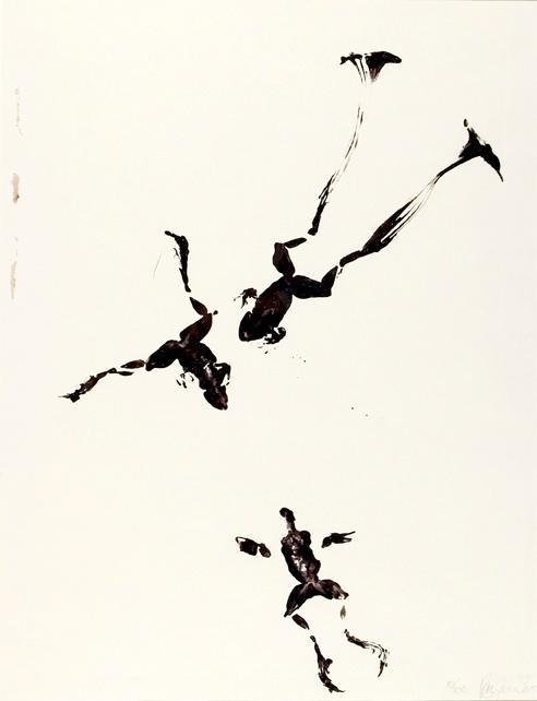 Untitled (frogs)
