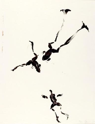 Untitled (frogs)