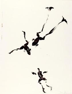 Untitled (frogs)