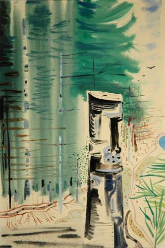 Untitled (tree stump in forest)