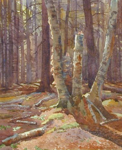 Untitled (Emma Lake)