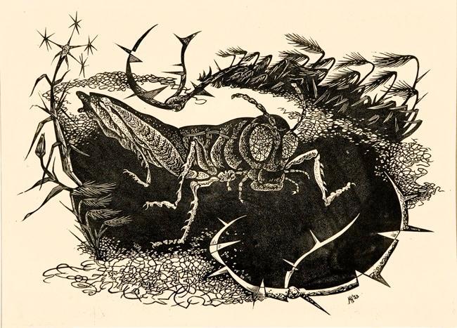 The Grasshopper
