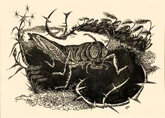 The Grasshopper