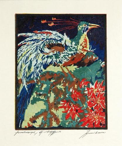 Paradiesvogel