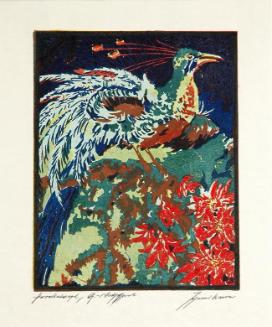 Paradiesvogel