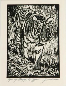 Tiger auf Streifzug