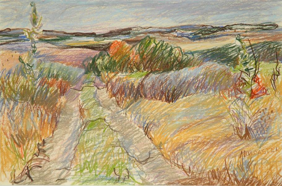 Roadside