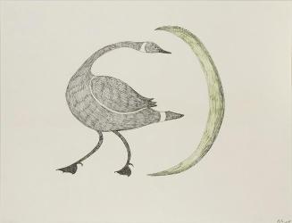 Untitled (goose)