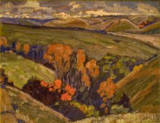 Ravine, Boggy Creek Valley